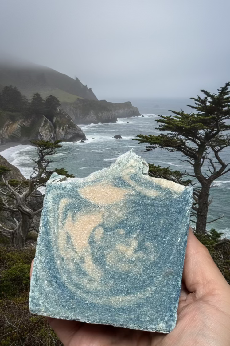 Sea & Cedar Goat Milk + Tallow Sea Salt Soap